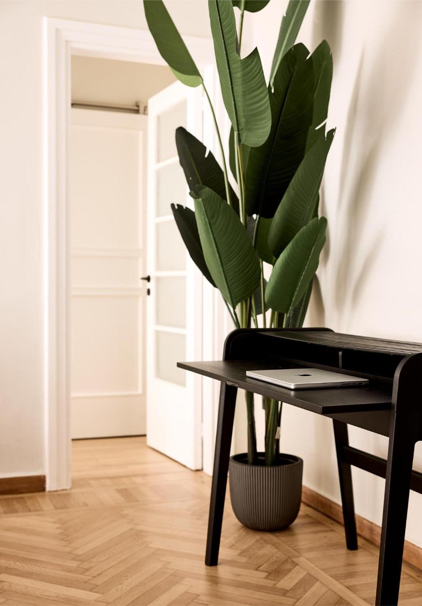 Lime Residences, Syntagma By Aura Homes 아테네 객실 사진